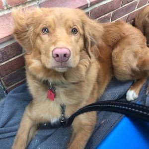 Meet your Posher, Michelle